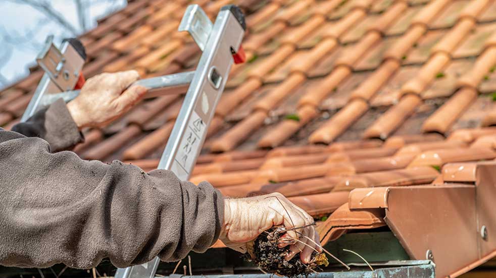 Protect your home and pets this winter clearing leaves gutter